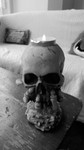 Skull.JPG